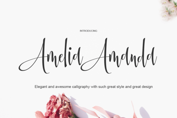 Amelia Amanda: A Design Review for Real Projects
