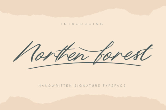 Discover Northern Forest Font