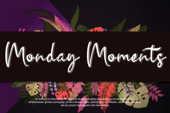Monday Moments: A Handwritten Font for Web Designers