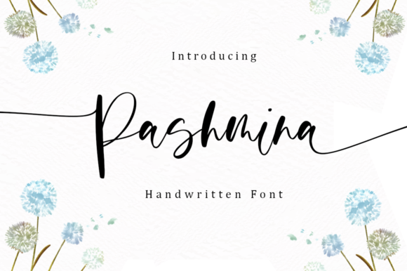 Pashmina: A Timeless Font for Creative Campaigns