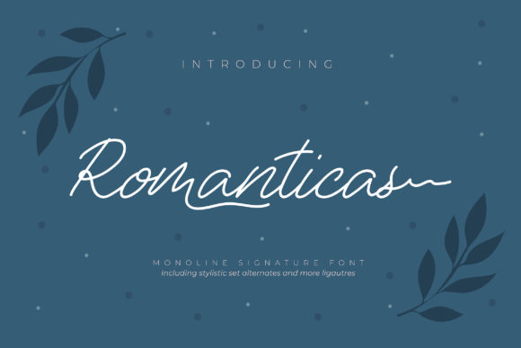 Upgrade Your Brand With Romanticas